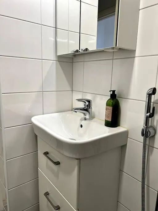 Studio Mansku Apartment Helsinki